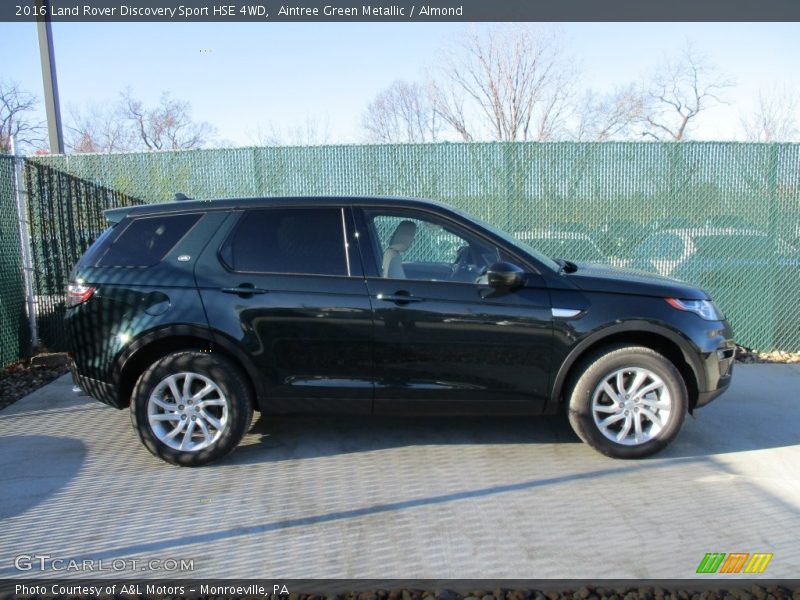 Aintree Green Metallic / Almond 2016 Land Rover Discovery Sport HSE 4WD