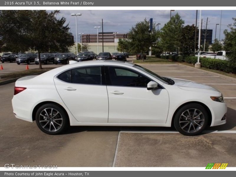 Bellanova White Pearl / Ebony 2016 Acura TLX 3.5