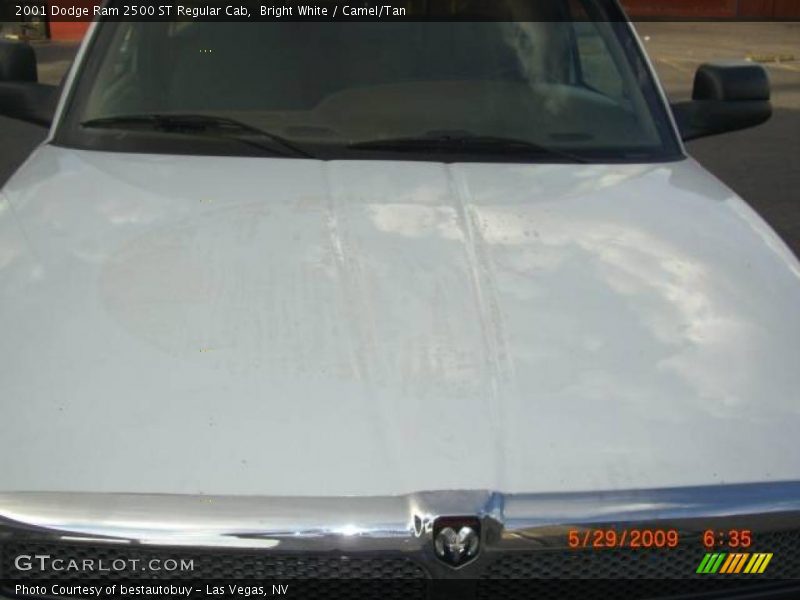 Bright White / Camel/Tan 2001 Dodge Ram 2500 ST Regular Cab