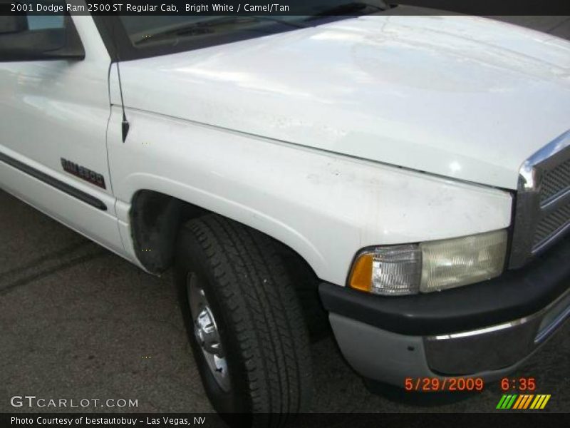 Bright White / Camel/Tan 2001 Dodge Ram 2500 ST Regular Cab
