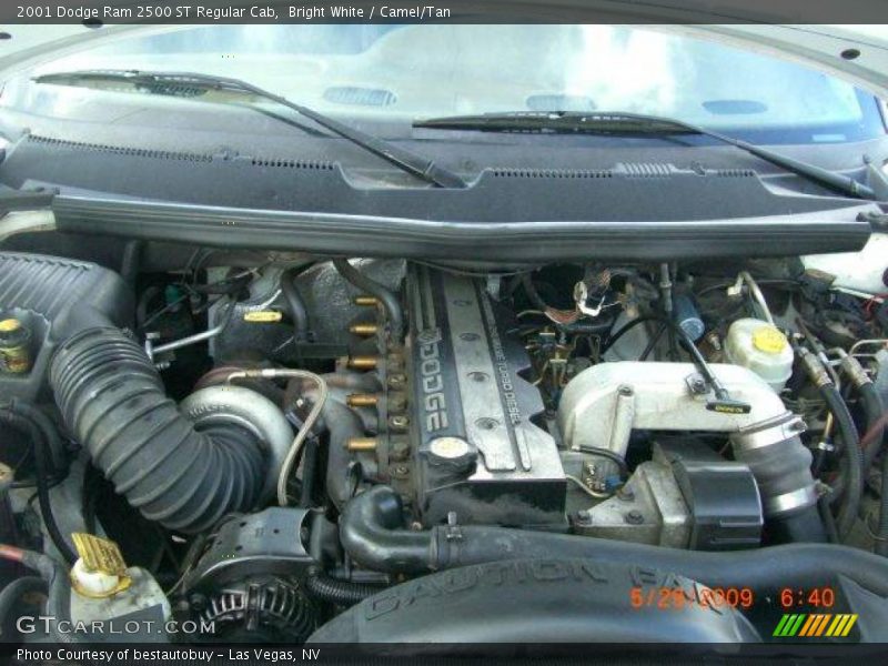 Bright White / Camel/Tan 2001 Dodge Ram 2500 ST Regular Cab