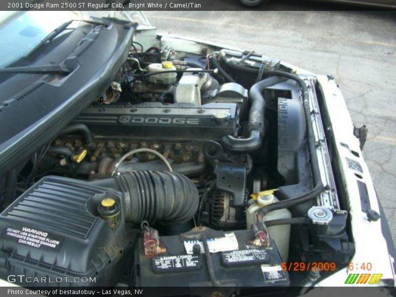 Bright White / Camel/Tan 2001 Dodge Ram 2500 ST Regular Cab