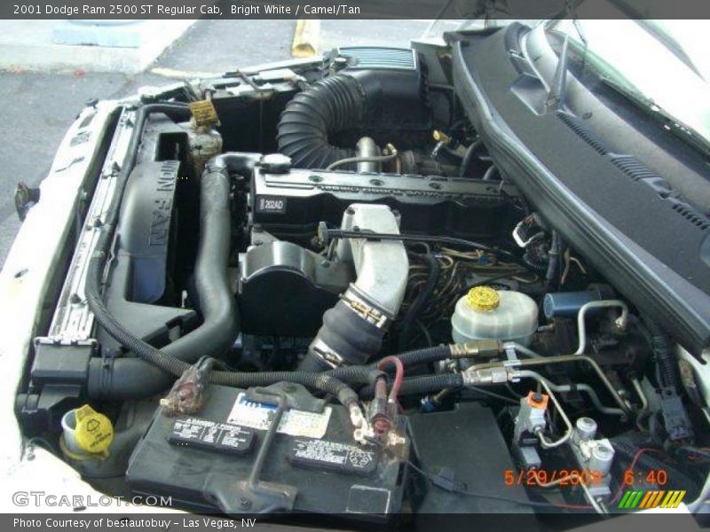 Bright White / Camel/Tan 2001 Dodge Ram 2500 ST Regular Cab