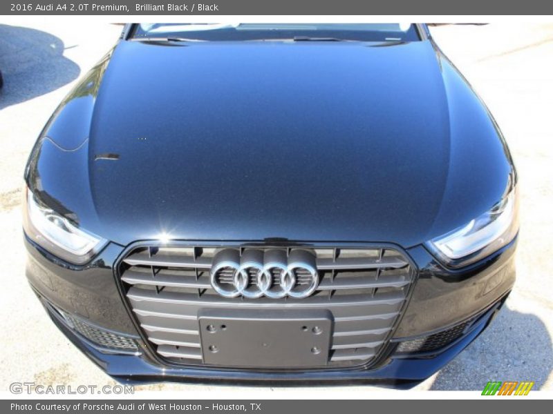 Brilliant Black / Black 2016 Audi A4 2.0T Premium