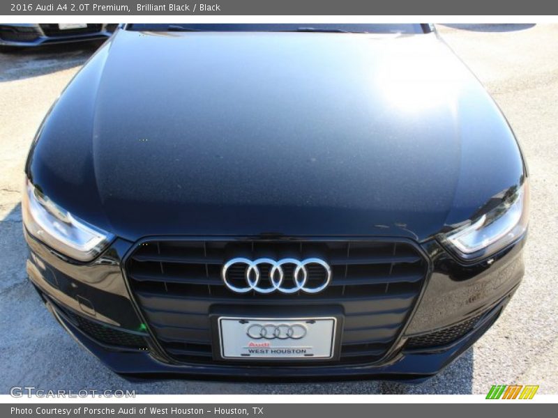 Brilliant Black / Black 2016 Audi A4 2.0T Premium