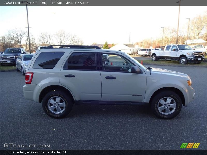 Light Sage Metallic / Stone 2008 Ford Escape XLT 4WD