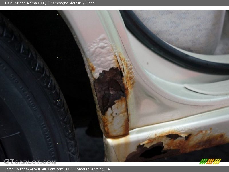 Champagne Metallic / Blond 1999 Nissan Altima GXE