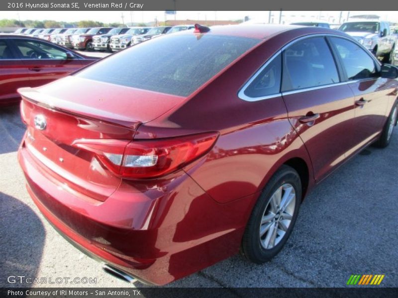 Venetian Red / Gray 2016 Hyundai Sonata SE