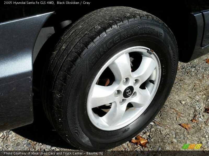 Black Obsidian / Gray 2005 Hyundai Santa Fe GLS 4WD