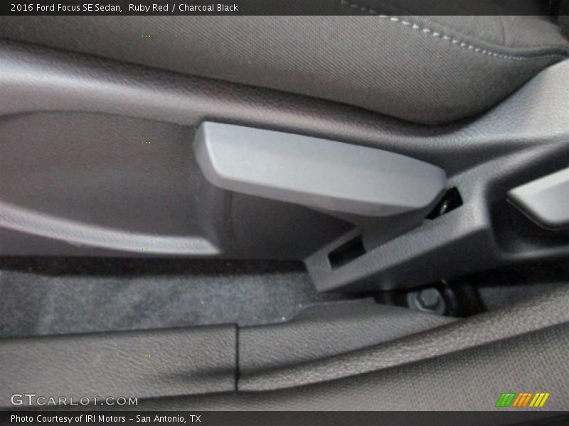 Ruby Red / Charcoal Black 2016 Ford Focus SE Sedan