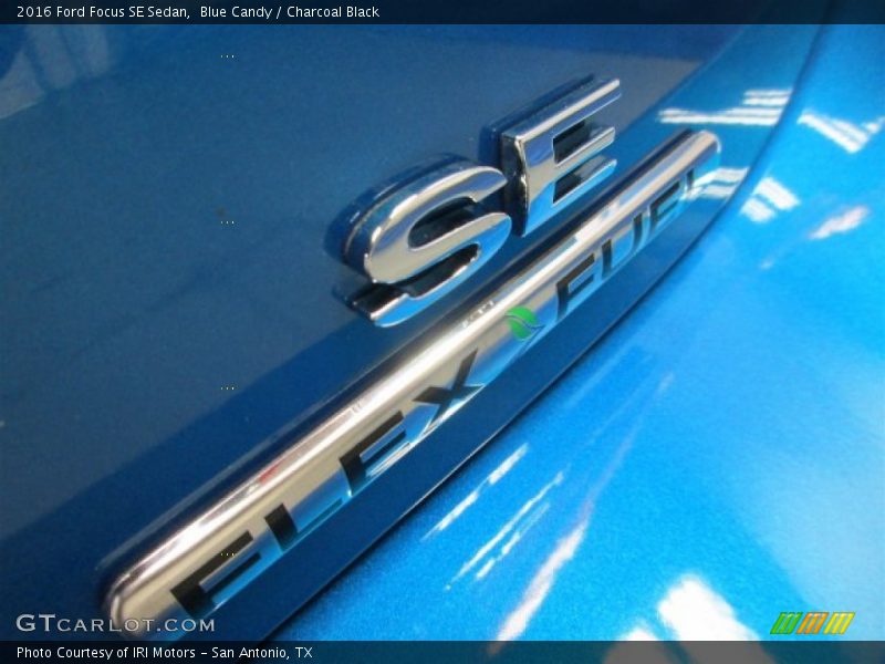 Blue Candy / Charcoal Black 2016 Ford Focus SE Sedan
