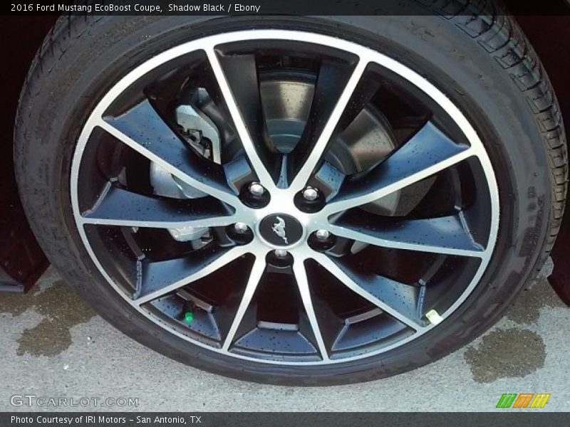Shadow Black / Ebony 2016 Ford Mustang EcoBoost Coupe