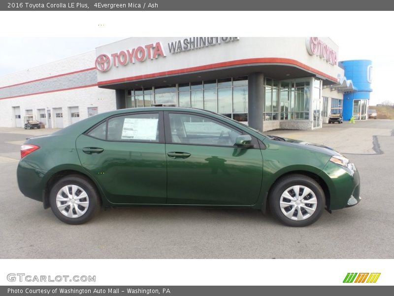 4Evergreen Mica / Ash 2016 Toyota Corolla LE Plus