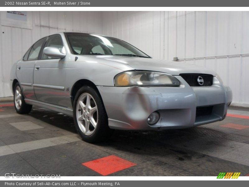 Molten Silver / Stone 2002 Nissan Sentra SE-R