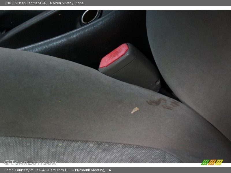 Molten Silver / Stone 2002 Nissan Sentra SE-R