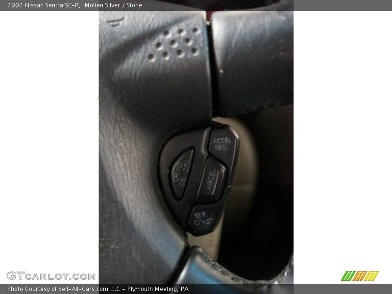 Molten Silver / Stone 2002 Nissan Sentra SE-R