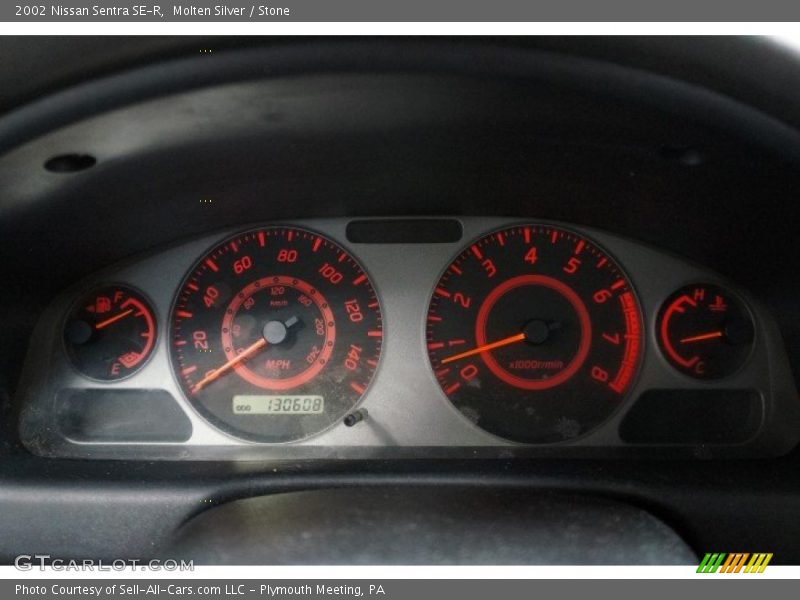 Molten Silver / Stone 2002 Nissan Sentra SE-R