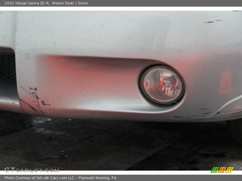 Molten Silver / Stone 2002 Nissan Sentra SE-R