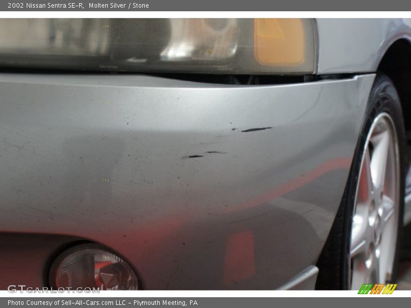 Molten Silver / Stone 2002 Nissan Sentra SE-R