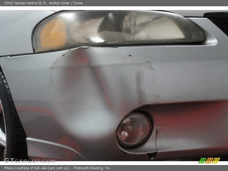 Molten Silver / Stone 2002 Nissan Sentra SE-R