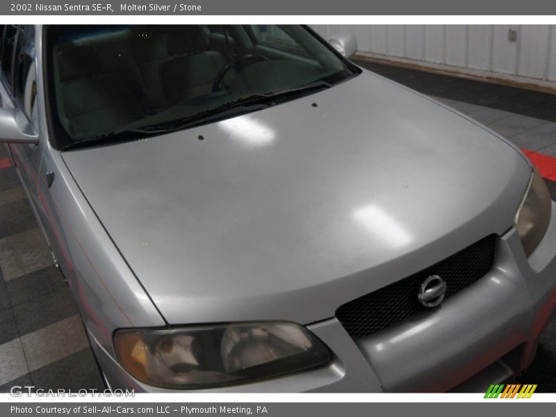 Molten Silver / Stone 2002 Nissan Sentra SE-R