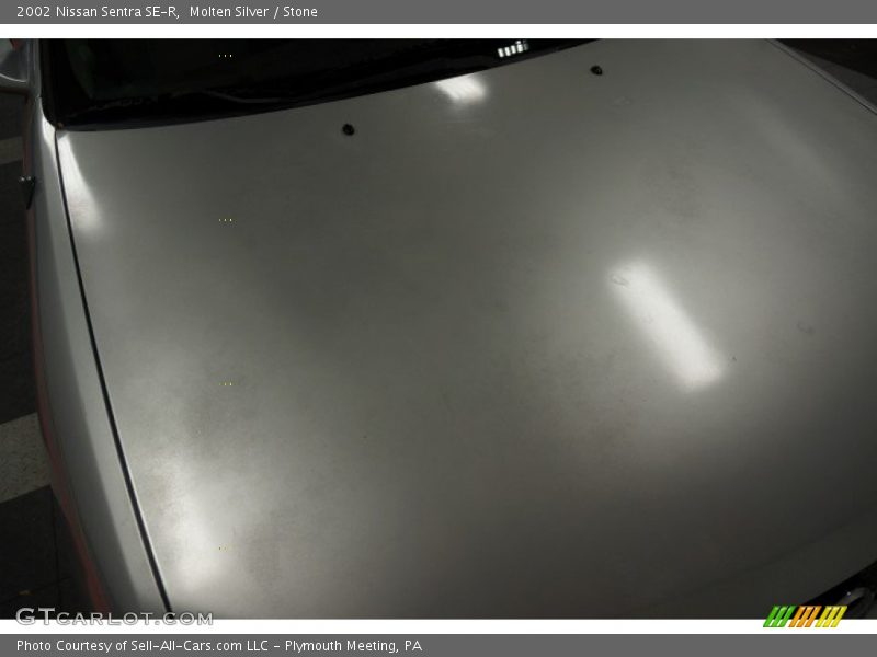 Molten Silver / Stone 2002 Nissan Sentra SE-R
