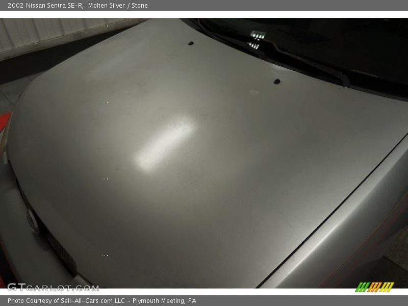 Molten Silver / Stone 2002 Nissan Sentra SE-R