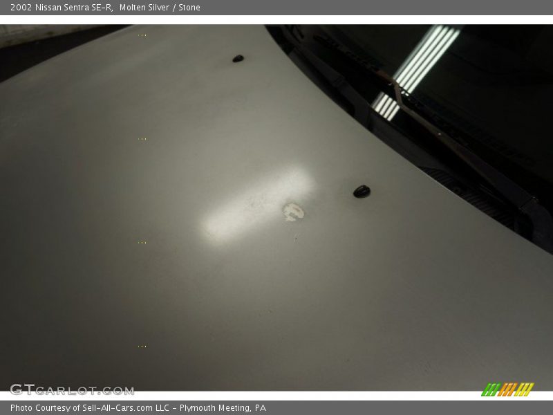 Molten Silver / Stone 2002 Nissan Sentra SE-R