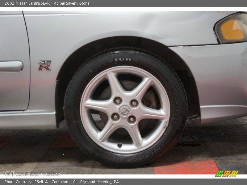 Molten Silver / Stone 2002 Nissan Sentra SE-R