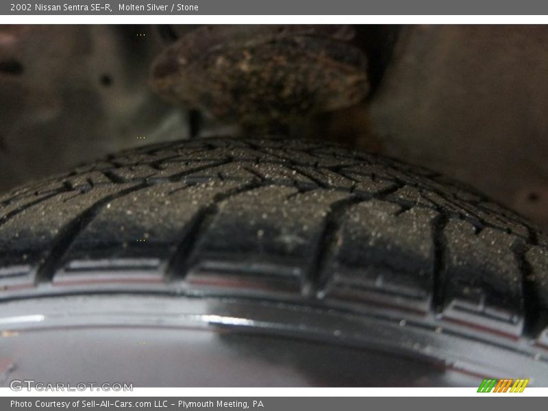 Molten Silver / Stone 2002 Nissan Sentra SE-R