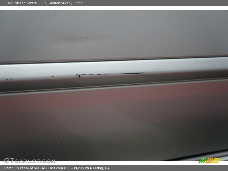 Molten Silver / Stone 2002 Nissan Sentra SE-R