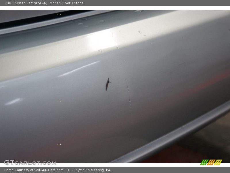 Molten Silver / Stone 2002 Nissan Sentra SE-R