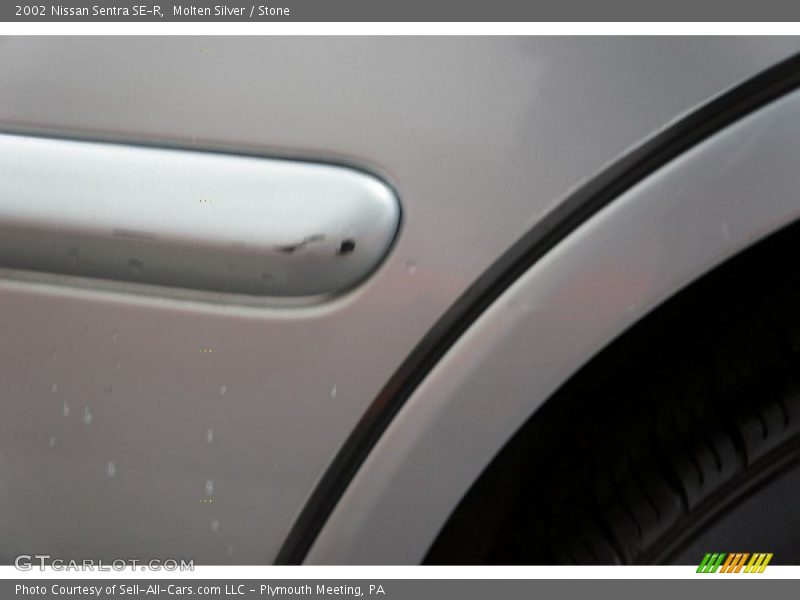 Molten Silver / Stone 2002 Nissan Sentra SE-R