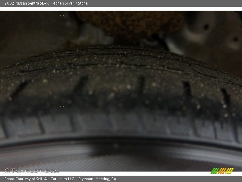 Molten Silver / Stone 2002 Nissan Sentra SE-R