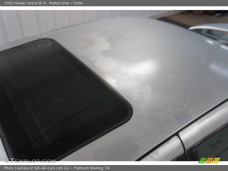 Molten Silver / Stone 2002 Nissan Sentra SE-R