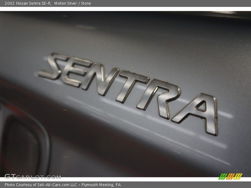 Molten Silver / Stone 2002 Nissan Sentra SE-R