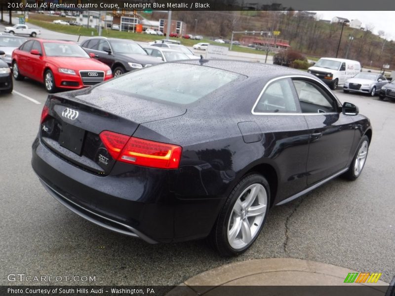 Moonlight Blue Metallic / Black 2016 Audi A5 Premium quattro Coupe