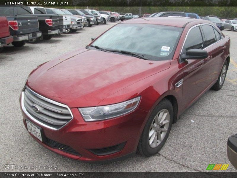Sunset / Dune 2014 Ford Taurus SE