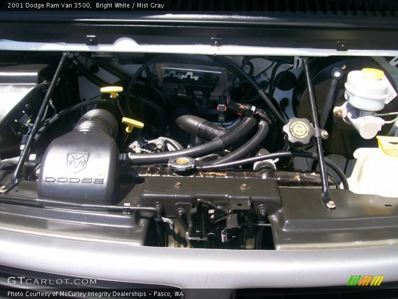 Bright White / Mist Gray 2001 Dodge Ram Van 3500