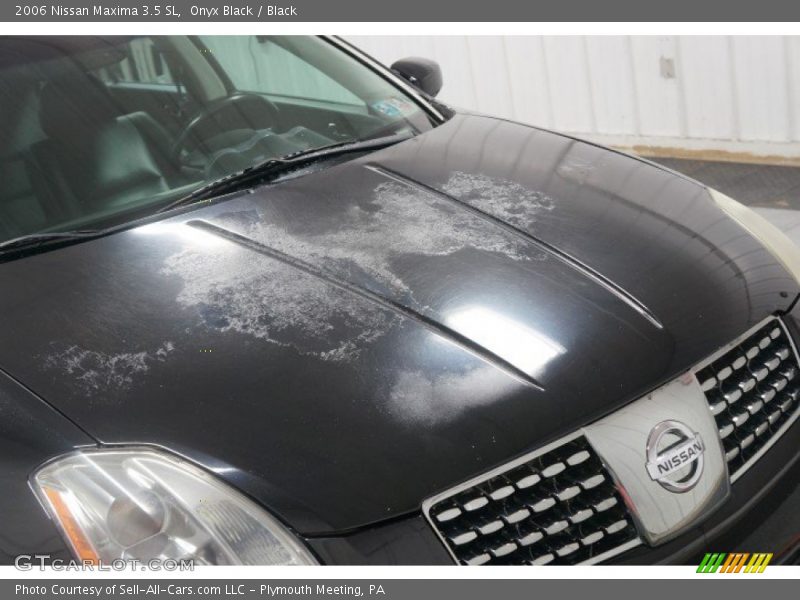 Onyx Black / Black 2006 Nissan Maxima 3.5 SL