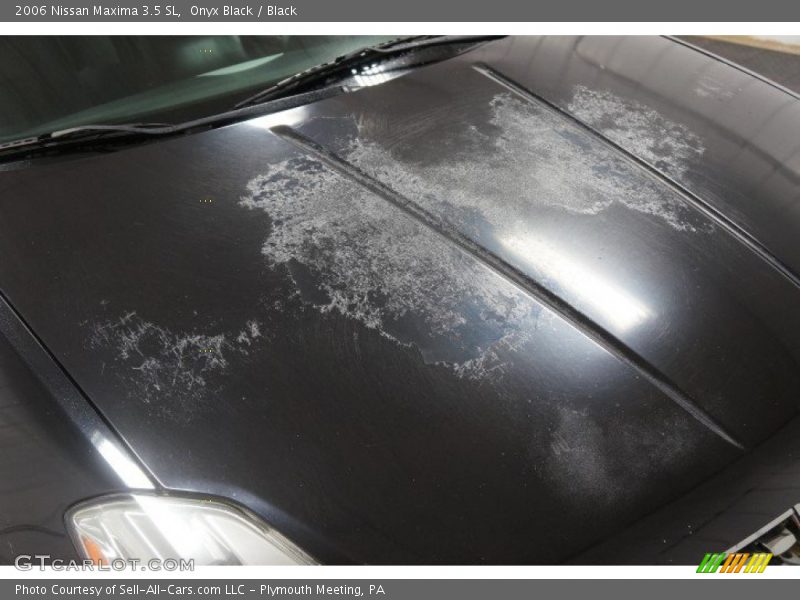 Onyx Black / Black 2006 Nissan Maxima 3.5 SL