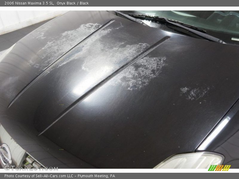 Onyx Black / Black 2006 Nissan Maxima 3.5 SL