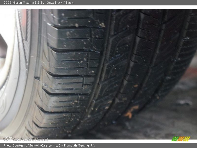 Onyx Black / Black 2006 Nissan Maxima 3.5 SL