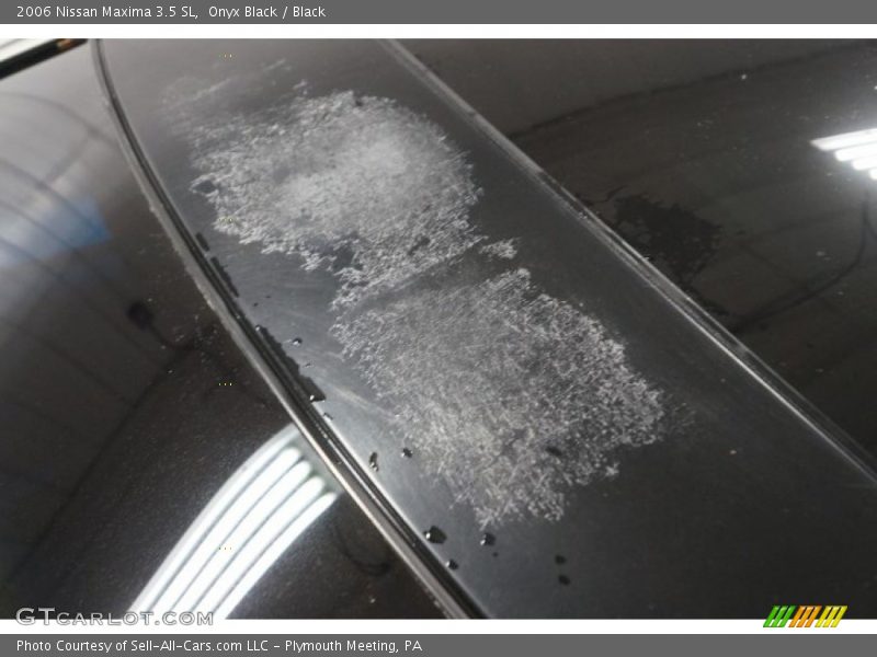 Onyx Black / Black 2006 Nissan Maxima 3.5 SL