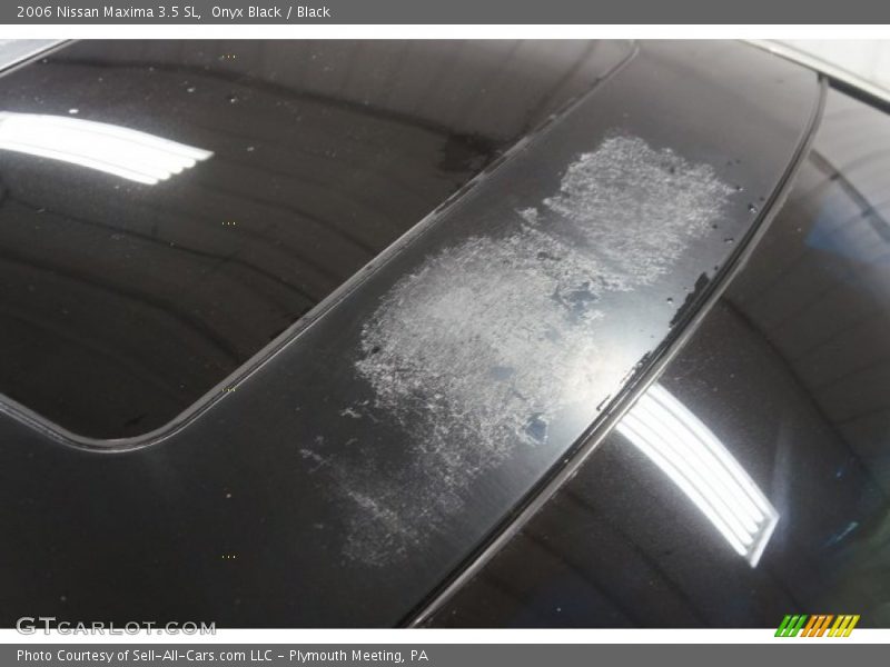 Onyx Black / Black 2006 Nissan Maxima 3.5 SL