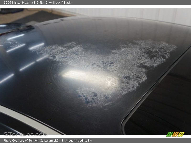 Onyx Black / Black 2006 Nissan Maxima 3.5 SL
