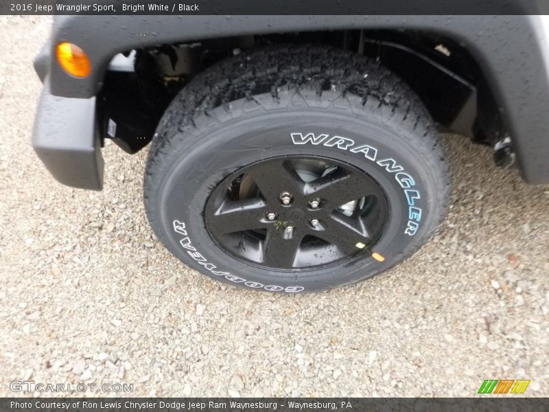 Bright White / Black 2016 Jeep Wrangler Sport