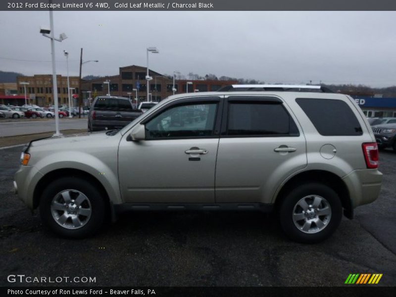 Gold Leaf Metallic / Charcoal Black 2012 Ford Escape Limited V6 4WD