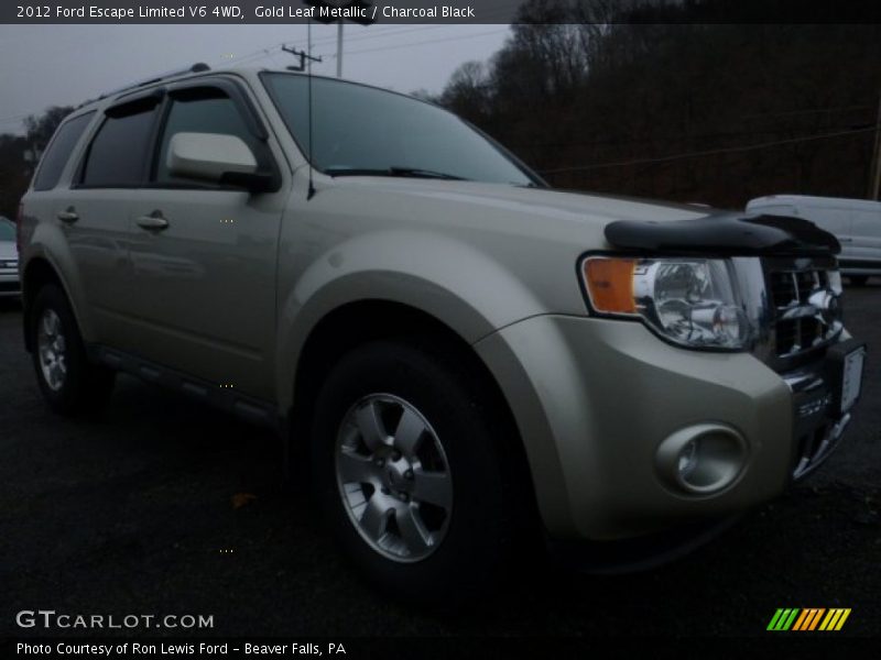 Gold Leaf Metallic / Charcoal Black 2012 Ford Escape Limited V6 4WD