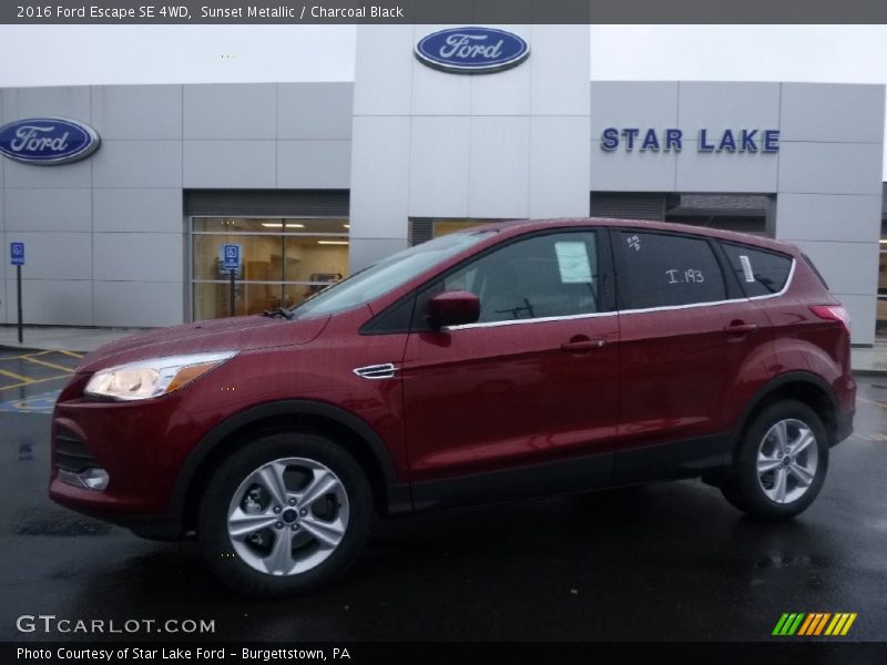 Sunset Metallic / Charcoal Black 2016 Ford Escape SE 4WD